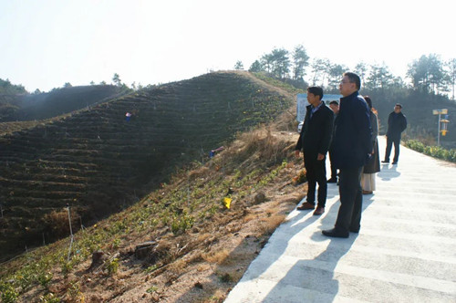 3003.com - ����ʢ����(�й�)