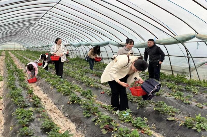 3003.com - ����ʢ����(�й�)